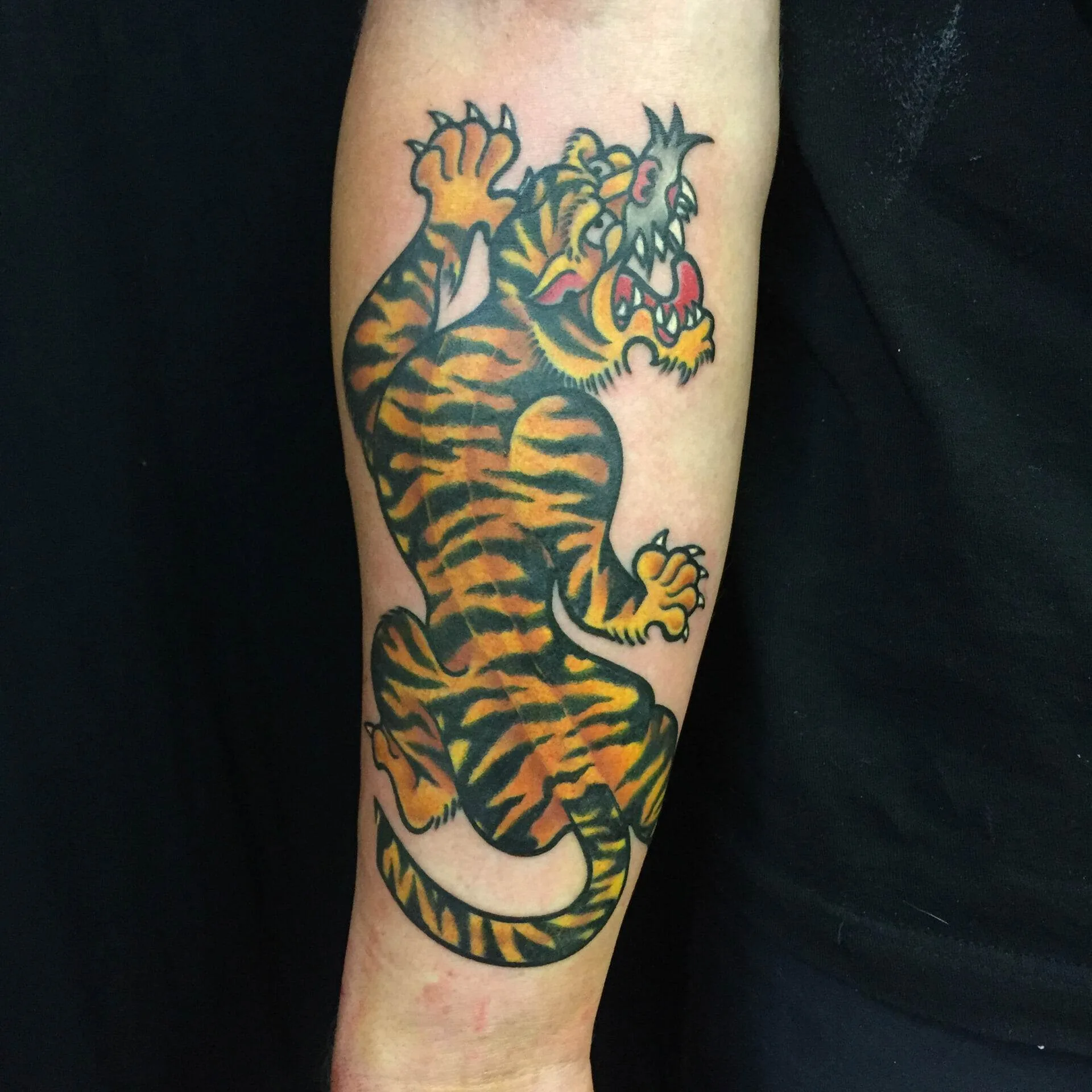 A colorful tiger tattoo on a person's forearm. The tiger is shown in a dynamic pose with its mouth open and teeth bared.