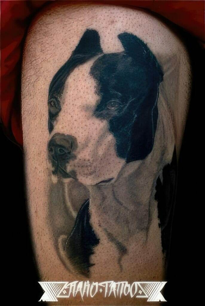 A realistic tattoo of a black and white dog on a person's skin, with the tattoo artist's name "Naaro-Tattoo" displayed at the bottom.