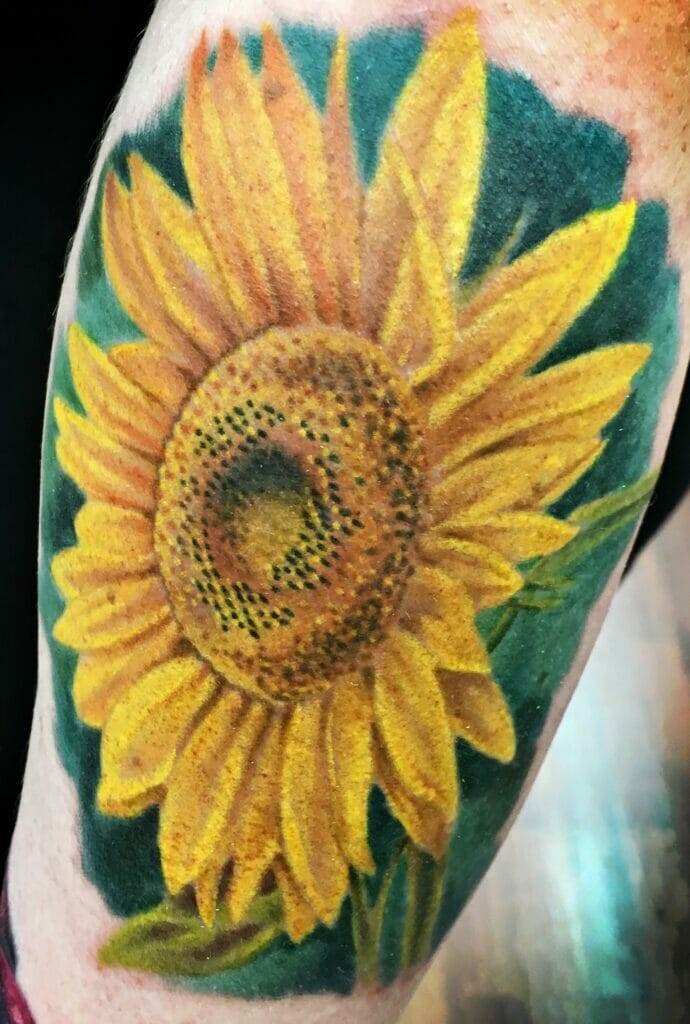 A detailed tattoo of a sunflower with yellow petals and a large brown center, surrounded by green leaves, on an arm.