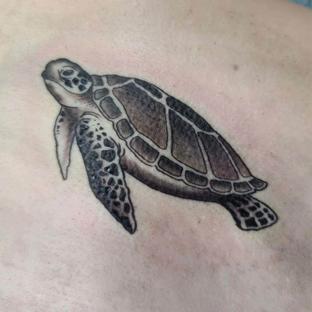 A black and grey tattoo of a sea turtle on skin, showcasing detailed shading and pattern work.