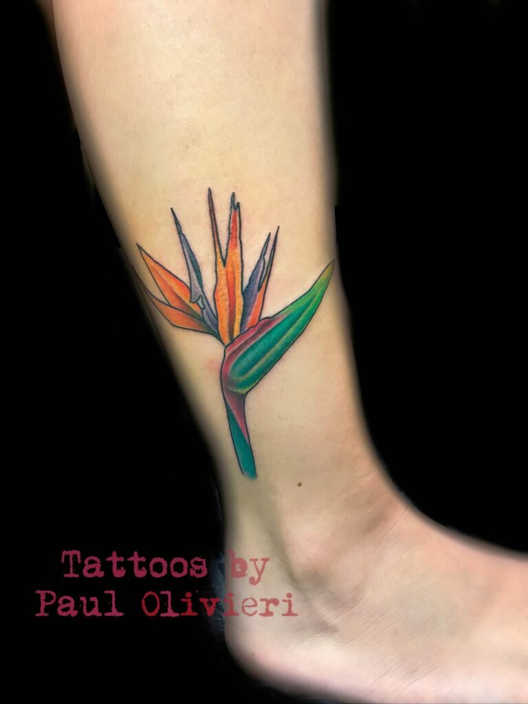 Close-up of a tattoo on a lower leg depicting a colorful bird of paradise flower. Text below reads "Tattoos by Paul Olivieri.