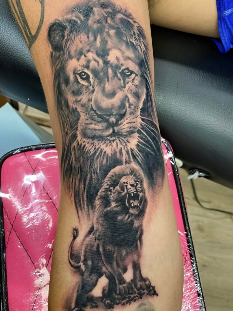 A black and grey tattoo featuring two lions: a calm lion's face at the top, and a roaring lion standing on its hind legs at the bottom. The tattoo is on a person’s forearm.