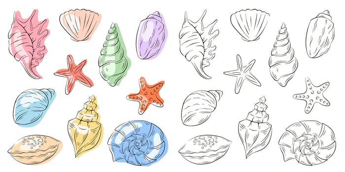 Illustration of various colorful and outlined seashells and starfish arranged in rows on a white background.
