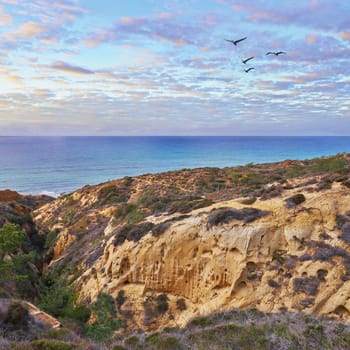 Coastal cliffs with sparse vegetation overlooking a calm blue ocean under a partly cloudy sky; four birds fly above the horizon.