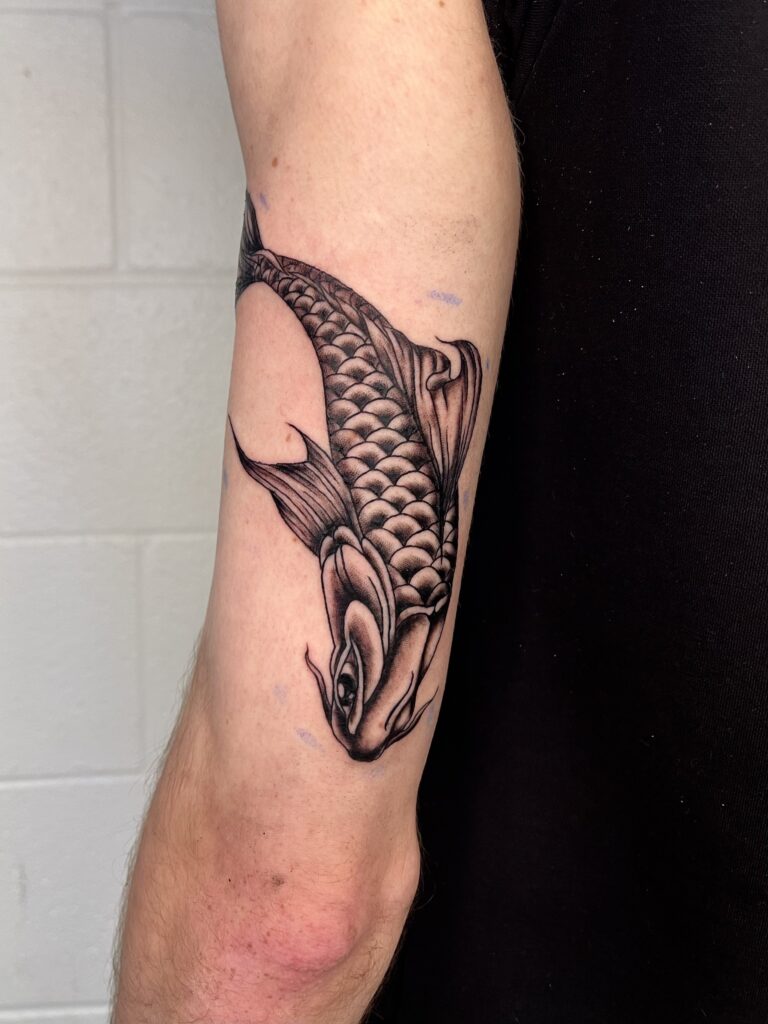 Black and gray koi fish tattoo on inner forearm with detailed scales and fins.