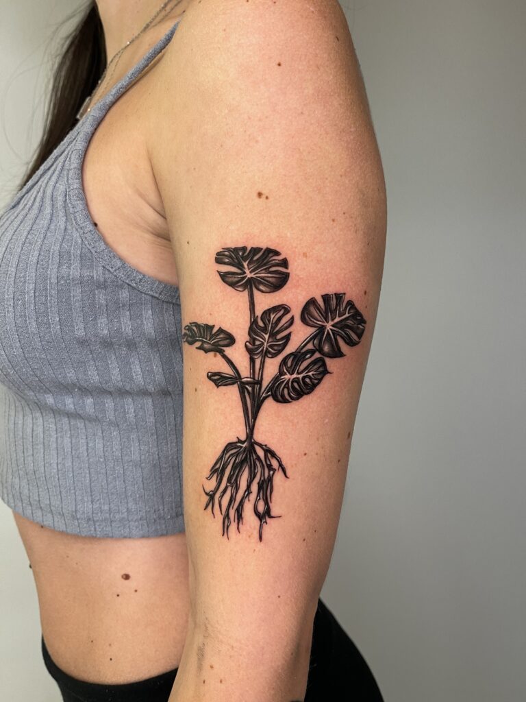 Black line drawing of a plant with large leaves and visible roots on upper arm.