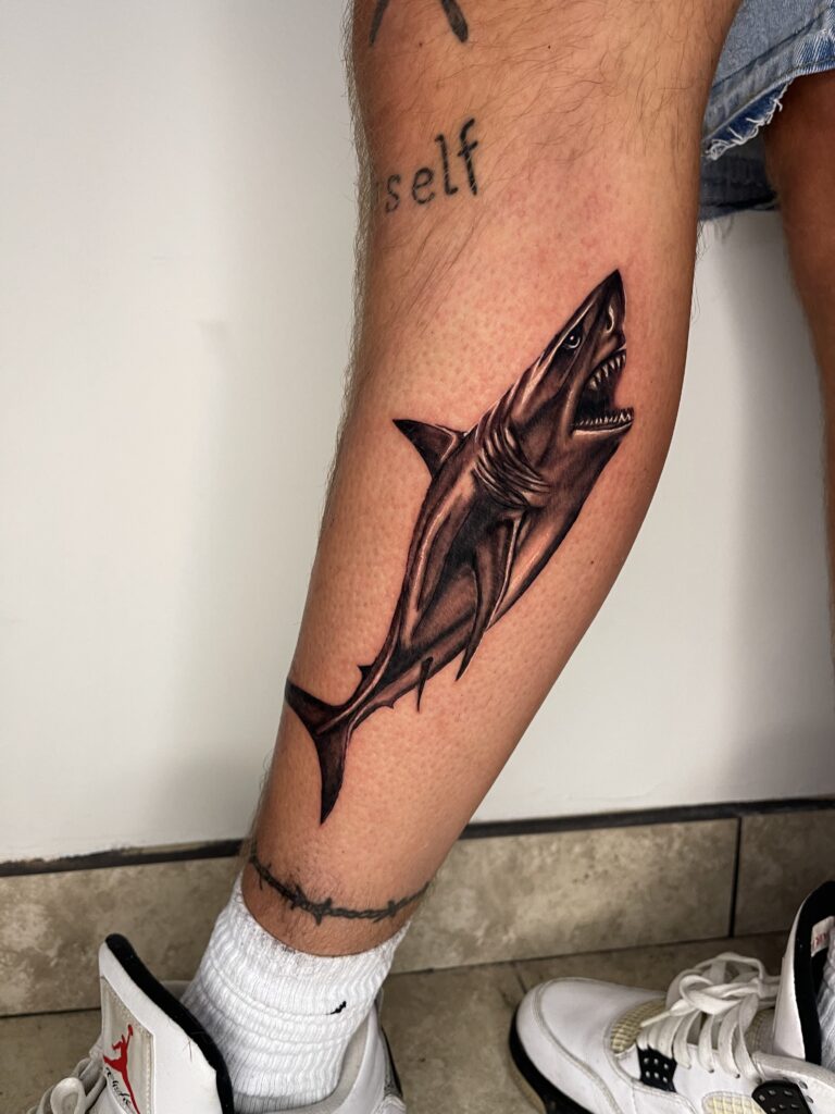 A realistic shark tattoo on a persons calf, showing the shark with open mouth and sharp teeth.